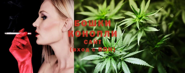 прущие грибы Вяземский