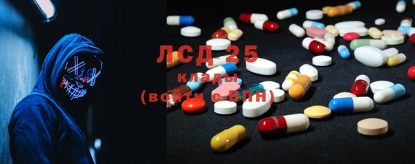 прущие грибы Вяземский