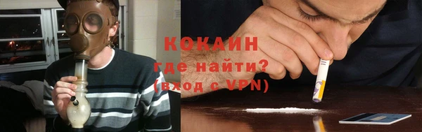прущие грибы Вяземский