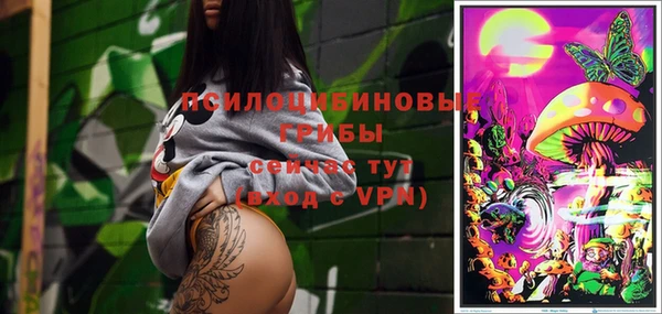твердый Вязники