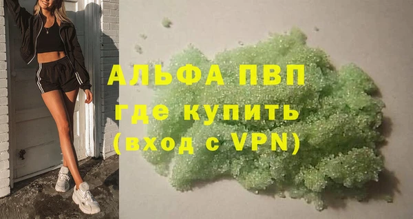 прущие грибы Вяземский