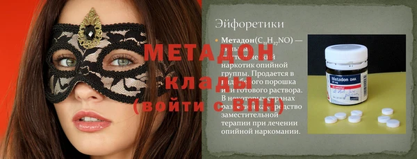 прущие грибы Вяземский