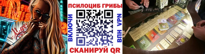 Псилоцибиновые грибы мицелий  Зея 